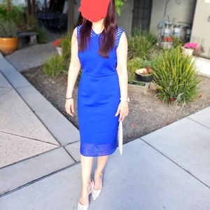 Bodycon Ted Baker dress